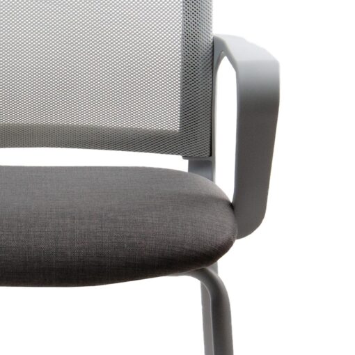 Winn fija gris - Imagen 2