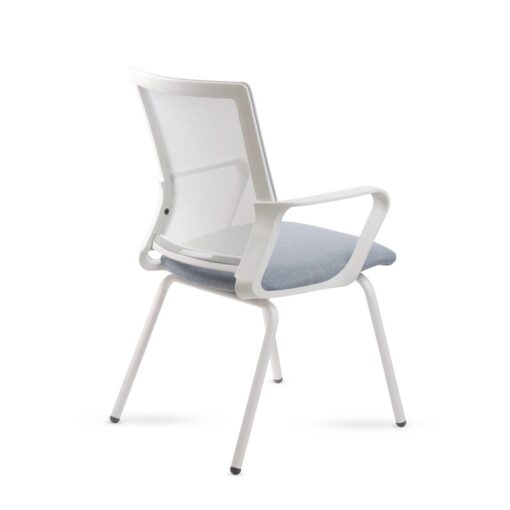 Winn fija blanca - Imagen 2