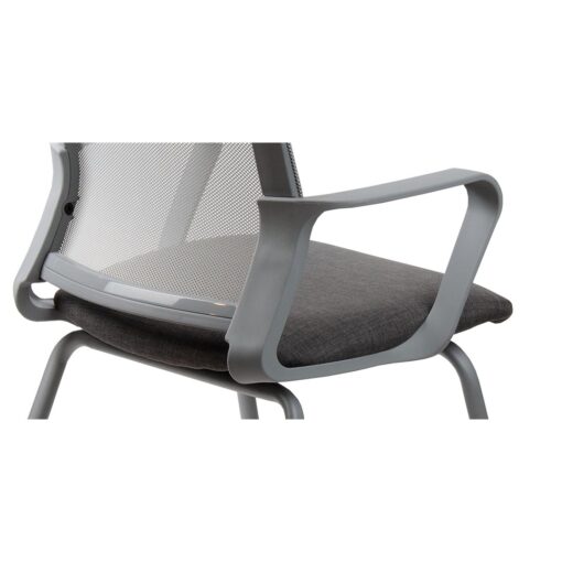 Winn fija gris - Imagen 3