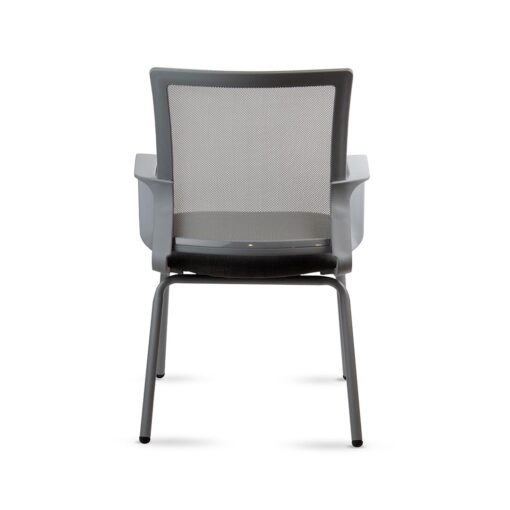 Winn fija gris - Imagen 4