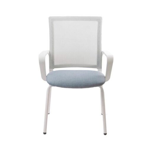 Winn fija blanca - Imagen 4