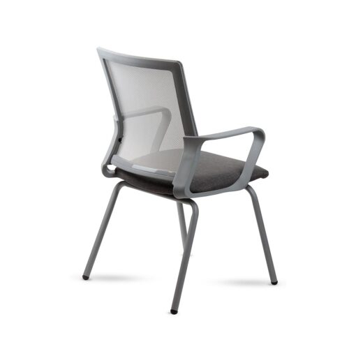 Winn fija gris - Imagen 5