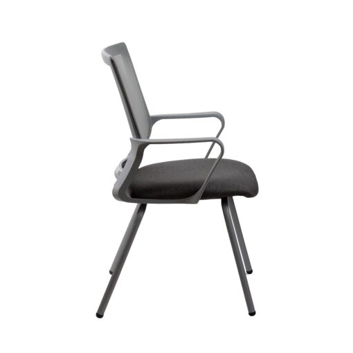 Winn fija gris - Imagen 6