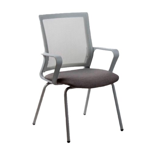 Winn fija gris