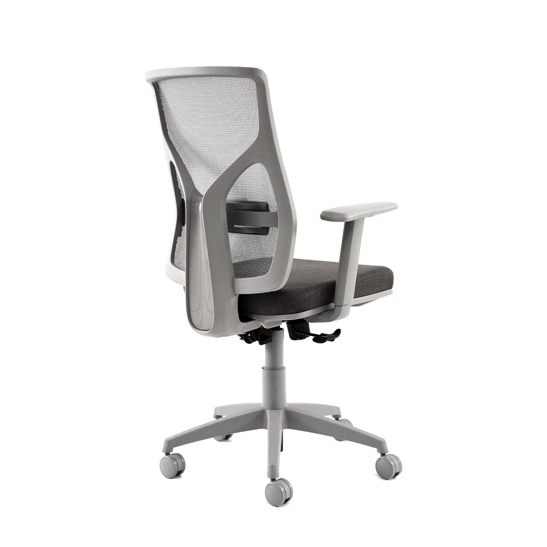 Korus gris - Imagen 4