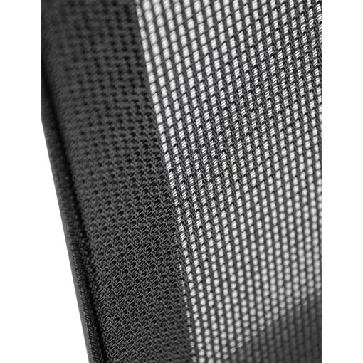 Gru negra - Imagen 5