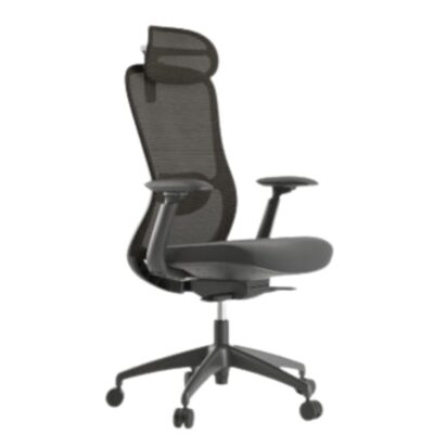 Soft gerencial negra